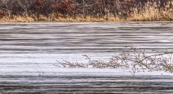 Zone inondée aide aux victimes