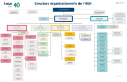 Organigramme de l'HGH au 9 juillet 2024