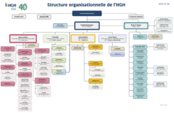 Organigramme de l'HGH au 9 juillet 2024