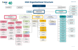 Organigramme 2025 (English)