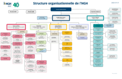 Organigramme - Février 2025